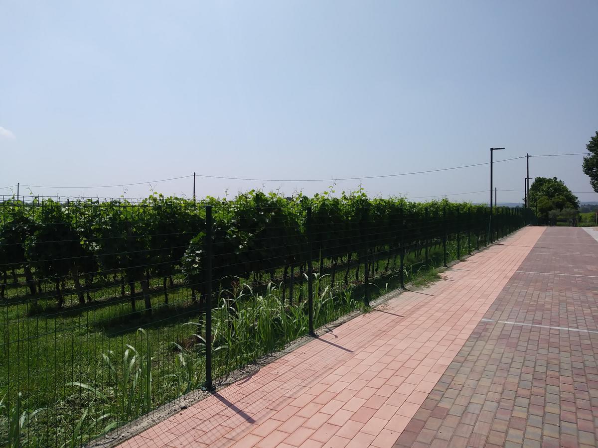 Stella Del Garda Bed & Breakfast Lazise Exterior foto